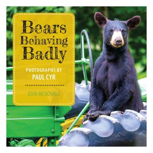 Bears Behaving Badly image number 0
