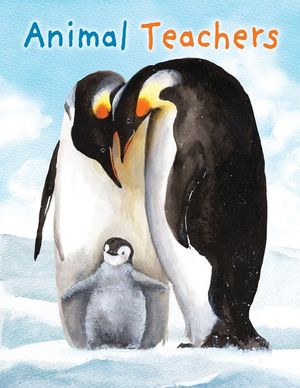 Animal Teachers image number 0
