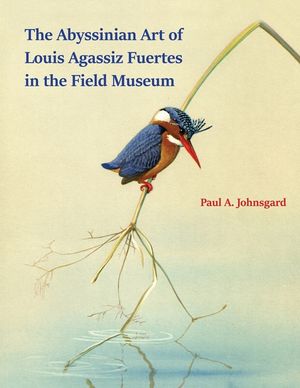 The Abyssinian Art of Louis Agassiz Fuertes in the Field Museum image number 0