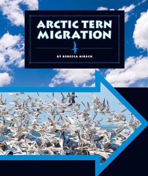 Arctic Tern Migration image number 0