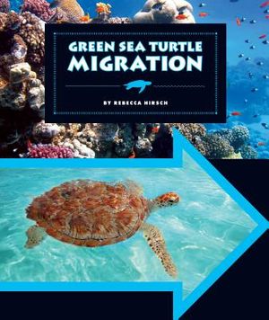 Green Sea Turtle Migration image number 0