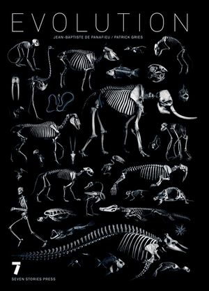 Evolution image number 0