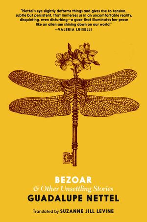 Bezoar: And Other Unsettling Stories image number 0
