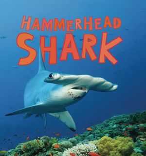 Hammerhead Shark image number 0