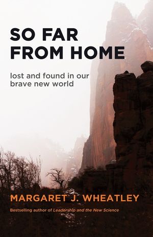 So Far from Home: Lost and Found in Our Brave New World image number 0