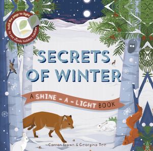 Secrets of Winter image number 0