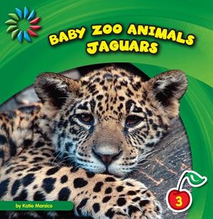 Jaguars image number 0