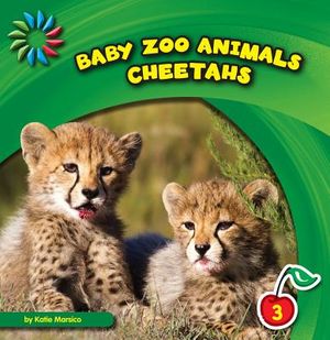 Cheetahs image number 0