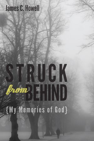 Struck from Behind: My Memories of God image number 0