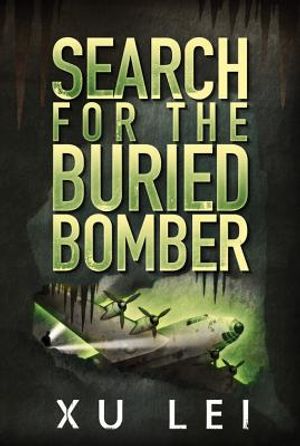 Search for the Buried Bomber image number 0
