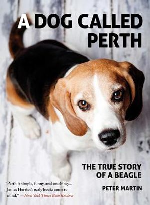 A Dog Called Perth: The True Story of a Beagle image number 0