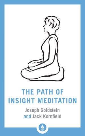 The Path of Insight Meditation image number 0