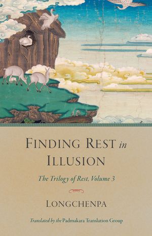 Finding Rest in Illusion image number 0