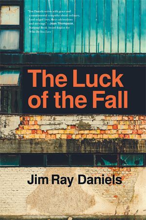 The Luck of the Fall image number 0