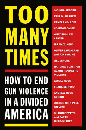 Too Many Times: How to End Gun Violence in a Divided America image number 0