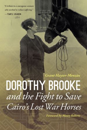 Dorothy Brooke and the Fight to Save Cairo's Lost War Horses image number 0
