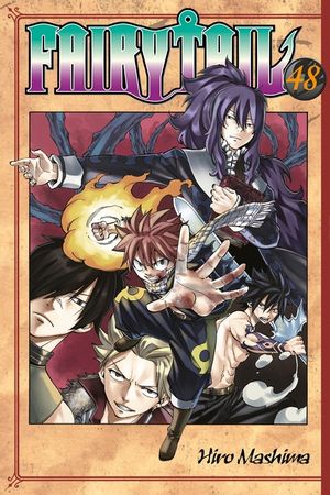 Fairy Tail 48 image number 0