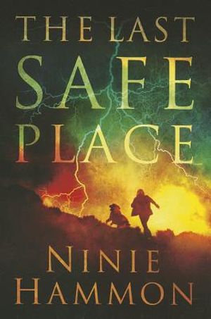 Last Safe Place image number 0