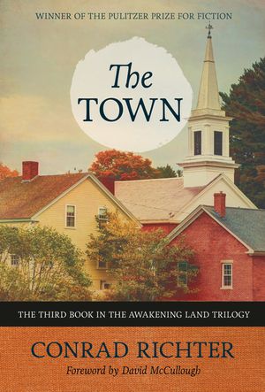 The Town image number 0