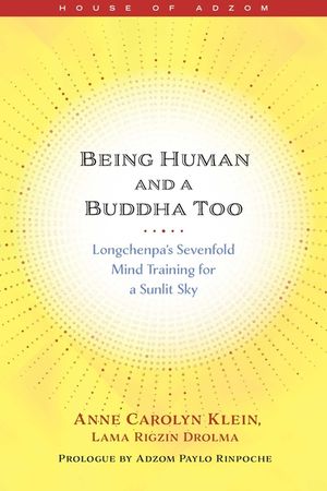 Being Human and a Buddha Too: Longchenpa's Seven Trainings for a Sunlit Sky image number 0
