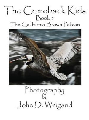 The Comeback Kids, Book 3, the California Brown Pelican image number 0