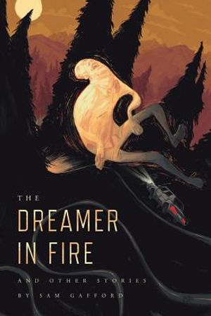 The Dreamer in Fire and Other Stories image number 0