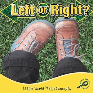 Left or Right image number 0