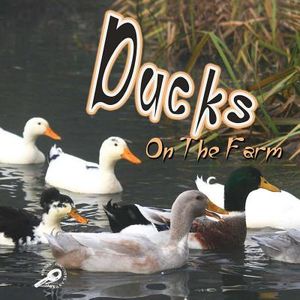 Ducks on the Farm image number 0