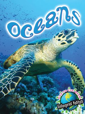 Oceans image number 0