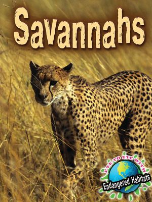 Savannahs image number 0