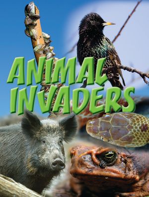 Animal Invaders image number 0