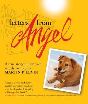 Letters from Angel: A True Story in Her Own Words image number 0