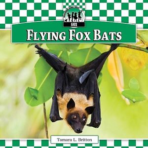 Flying Fox Bats image number 0