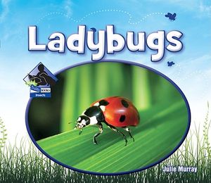 Ladybugs image number 0