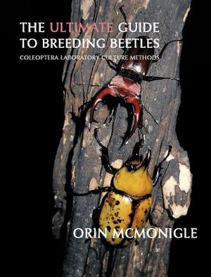 The Ultimate Guide to Breeding Beetles: Coleoptera Laboratory Culture Methods image number 0