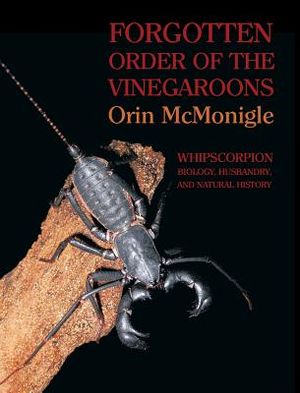 Forgotten Order of the Vinegaroons: Whipscorpion Biology, Husbandry, and Natural History image number 0
