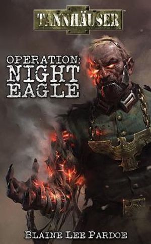 Operation: Night Eagle image number 0