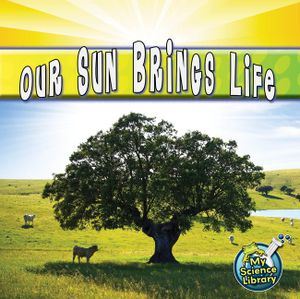 Our Sun Brings Life image number 0