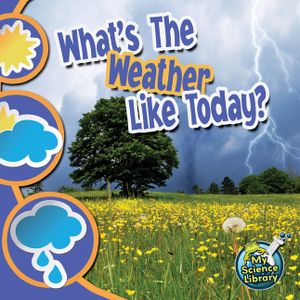 What's the Weather Like Today? image number 0