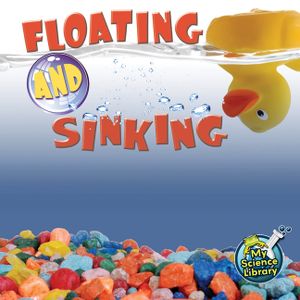 Floating and Sinking image number 0