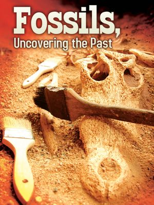 Fossils: Uncovering the Past image number 0