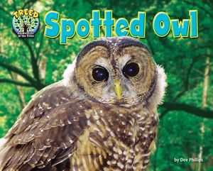 Spotted Owl image number 0