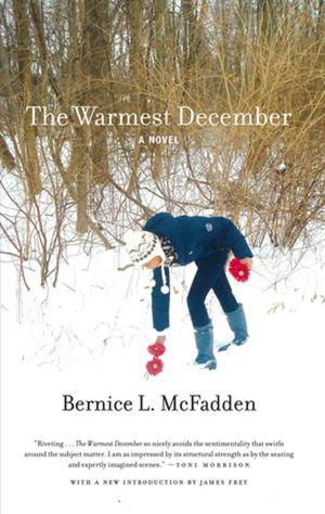 The Warmest December image number 0