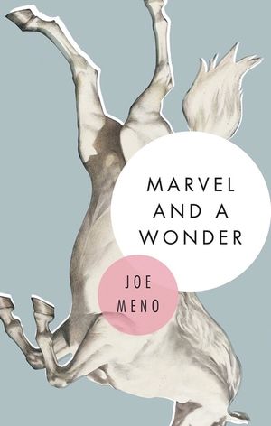 Marvel and a Wonder image number 0