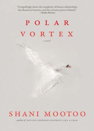 Polar Vortex image number 0