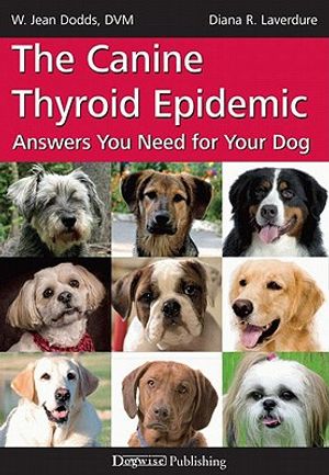 The Canine Thyroid Epidemic: Answers You Need for Your Dog image number 0