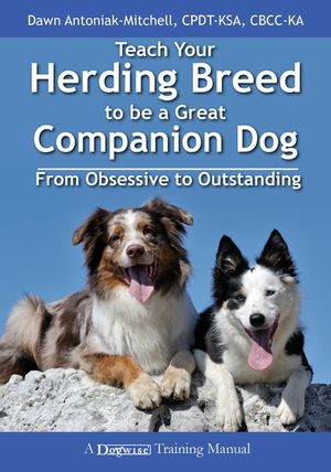 Teach Your Herding Breed to Be a Great Companion Dog, from Obsessive to Outstanding image number 0