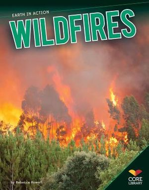 Wildfires image number 0