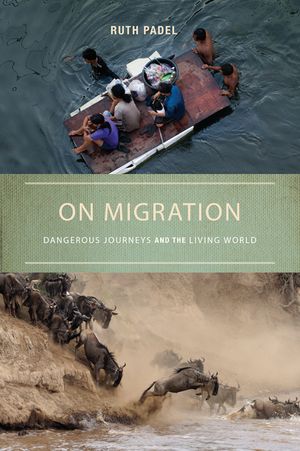 On Migration: Dangerous Journeys and the Living World image number 0