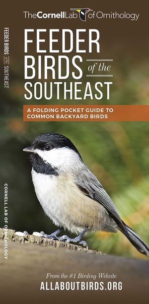 Feeder Birds of the Southeast: A Folding Pocket Guide to Common Backyard Birds image number 0